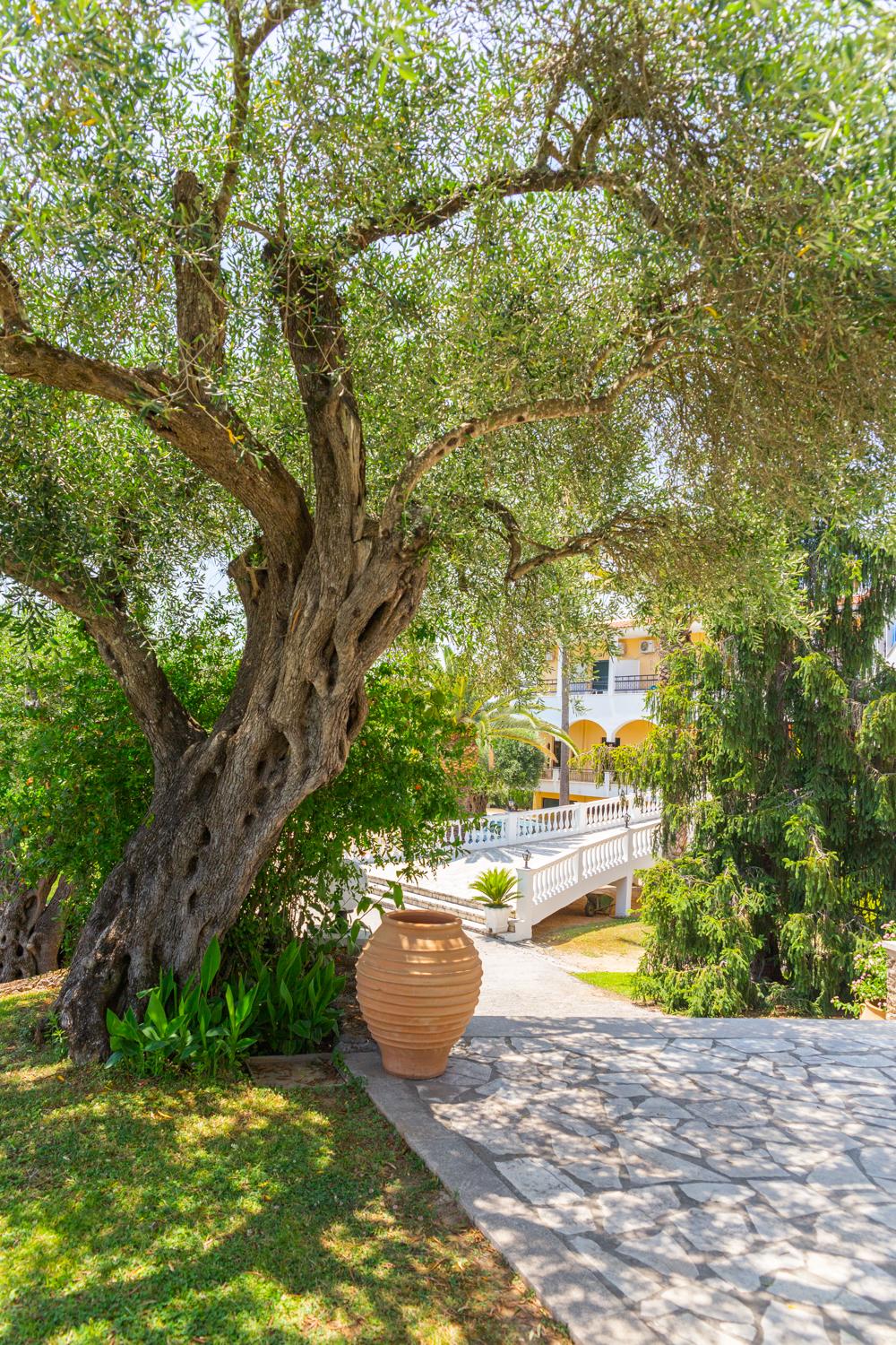 Otel Paradise Corfu